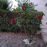 Apartament With Gardens *