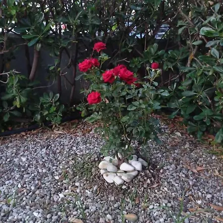 With Gardens *