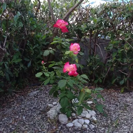 With Gardens Apartament