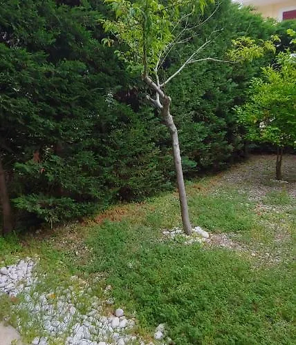 With Gardens Lefkáda