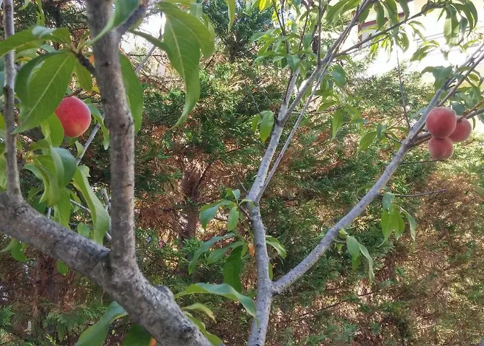 With Gardens * Lefkáda