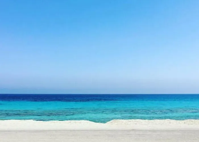 Appartement With Gardens *