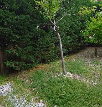 With Gardens Lefkáda