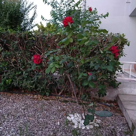 Lejlighed With Gardens *