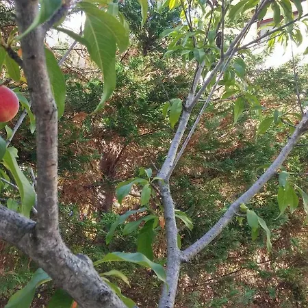 With Gardens * Lefkada City