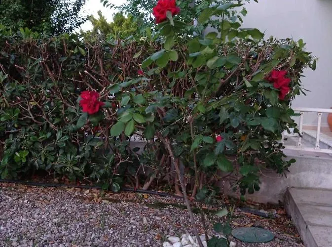 Appartamento With Gardens *