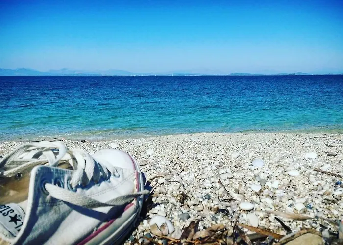 Appartement With Gardens *